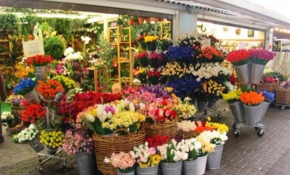 O que é possível fazer para aumentar as vendas da sua Floricultura? O que é possível fazer para aumentar as vendas da sua Floricultura?